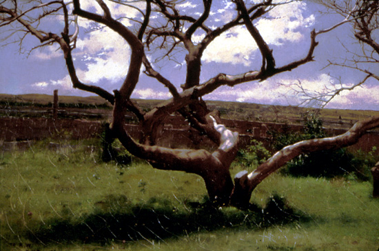 Dennis Miller Bunker, Tree