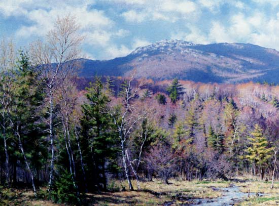 © Richard Whitney, Monadnock April Buds